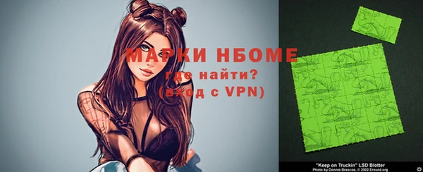 мдпв Богородицк