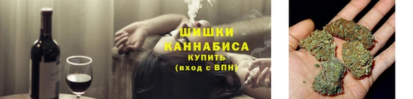 стаф Елизово
