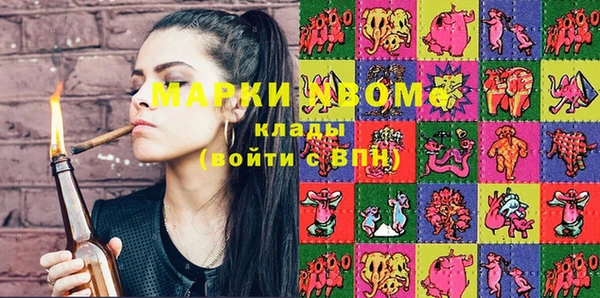 мдпв Богородицк