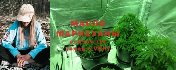 метадон Ельня