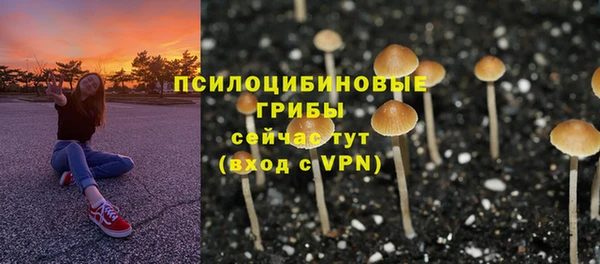 мдпв Богородицк