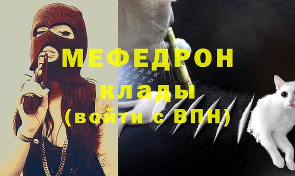 PSILOCYBIN Богданович