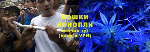 мдпв Богородицк