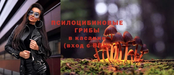 PSILOCYBIN Богданович