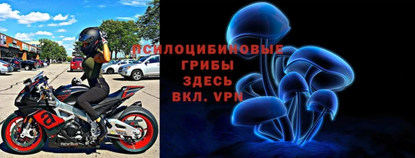 PSILOCYBIN Богданович