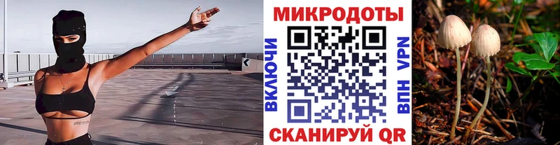 Псилоцибиновые грибы Psilocybe закладки кракен Катав-Ивановск